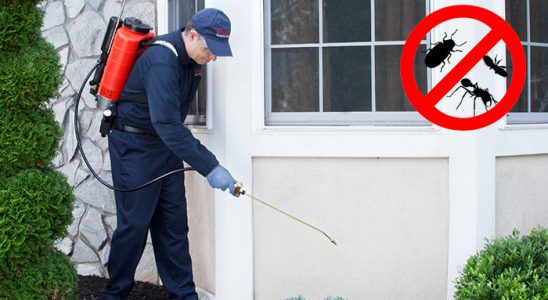 Kızılören Hamam Böceği İlaçlama böcek ilaçlama ve haşere kontrolü — ilaclama-tr.com